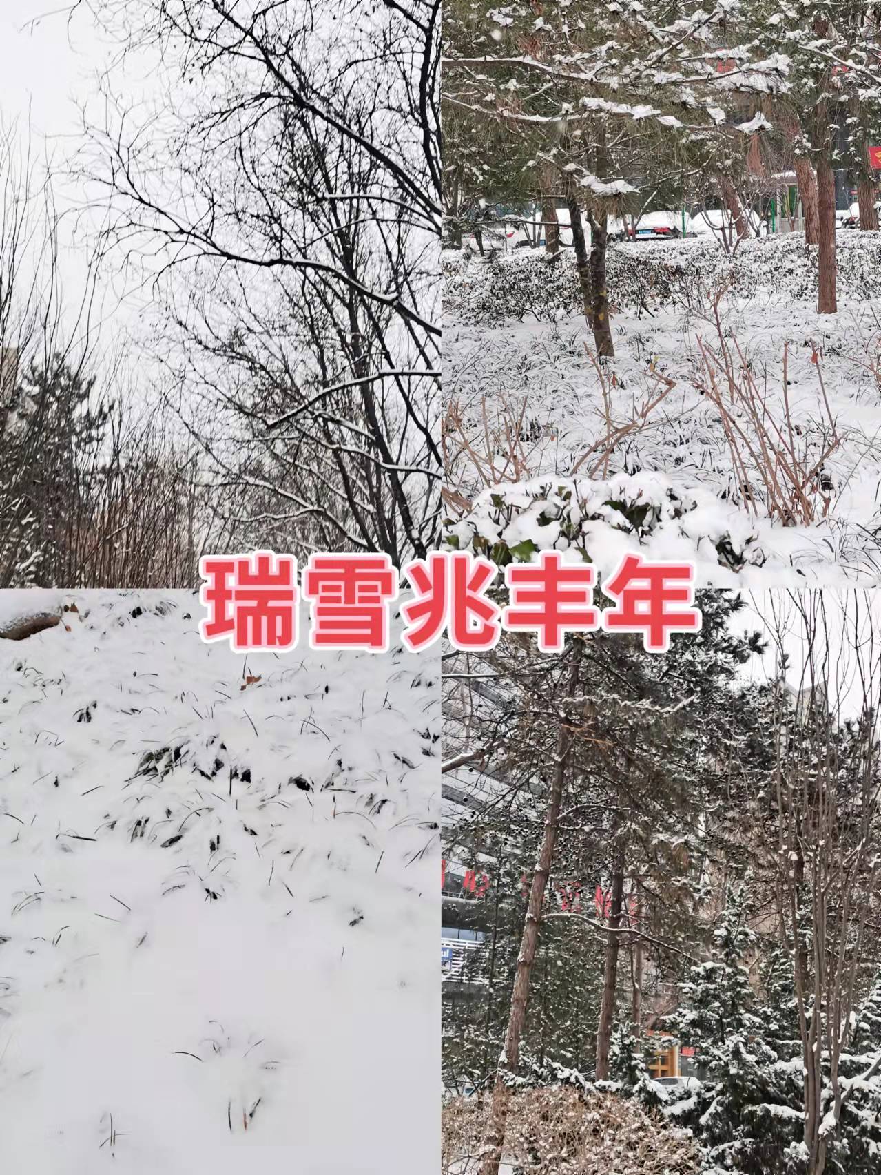 微信图片_20211224123430.jpg